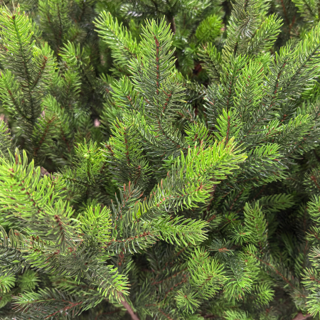 Brad artificial Sersimo, Hollandia, verde cu varfuri verzi, integral 3D, 210 cm [5]