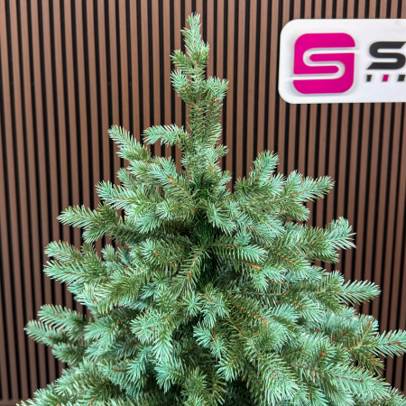 Brad artificial Sersimo, Scandinavia, verde cu varfuri argintii, integral 3D, 210 cm [12]