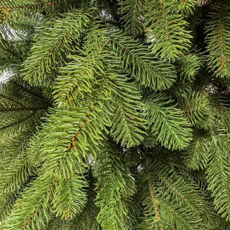 Brad artificial Sersimo, Silvee Elite, verde, integral 3D, 180 cm [1]