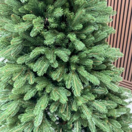 Brad artificial Sersimo, Viorisse Elite, verde, integral 3D, 220 cm [7]