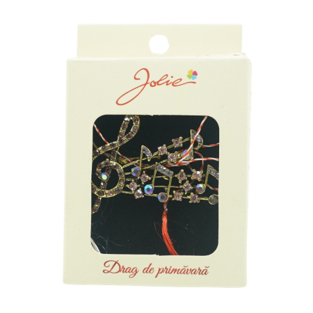 ✨TOATE PRODUSELE✨ - Brosa Multicolora Note Muzicale