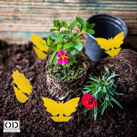capcane adezive insecte ghiveci capcane lipicioase plante flori capcane galbene insecte daunatoare capcane muste tantari afide plante capcane pentru paianjeni si buburuze capcane anti insecte gradina sera set capcane adezive flori fluturi capcane naturale fara chimicale plante capcane lipicioase pentru interior si exterior capcane insecte original deals [16]