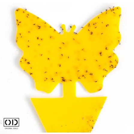 capcane adezive insecte ghiveci capcane lipicioase plante flori capcane galbene insecte daunatoare capcane muste tantari afide plante capcane pentru paianjeni si buburuze capcane anti insecte gradina sera set capcane adezive flori fluturi capcane naturale fara chimicale plante capcane lipicioase pentru interior si exterior capcane insecte original deals [3]