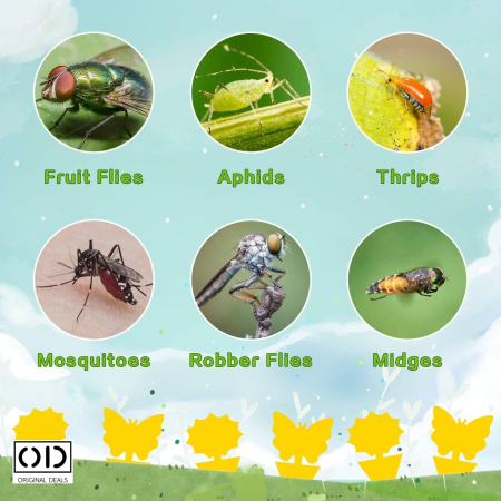 capcane adezive insecte ghiveci capcane lipicioase plante flori capcane galbene insecte daunatoare capcane muste tantari afide plante capcane pentru paianjeni si buburuze capcane anti insecte gradina sera set capcane adezive flori fluturi capcane naturale fara chimicale plante capcane lipicioase pentru interior si exterior capcane insecte original deals [10]
