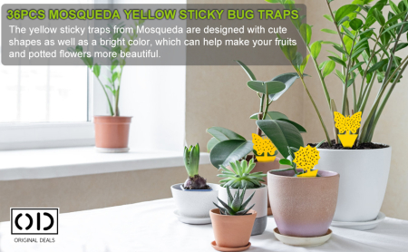 capcane adezive insecte ghiveci capcane lipicioase plante flori capcane galbene insecte daunatoare capcane muste tantari afide plante capcane pentru paianjeni si buburuze capcane anti insecte gradina sera set capcane adezive flori fluturi capcane naturale fara chimicale plante capcane lipicioase pentru interior si exterior capcane insecte original deals [2]