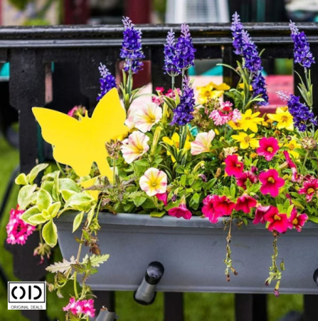 capcane adezive insecte ghiveci capcane lipicioase plante flori capcane galbene insecte daunatoare capcane muste tantari afide plante capcane pentru paianjeni si buburuze capcane anti insecte gradina sera set capcane adezive flori fluturi capcane naturale fara chimicale plante capcane lipicioase pentru interior si exterior capcane insecte original deals [19]