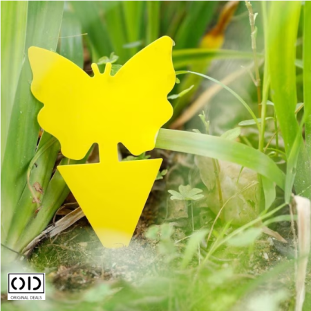 capcane adezive insecte ghiveci capcane lipicioase plante flori capcane galbene insecte daunatoare capcane muste tantari afide plante capcane pentru paianjeni si buburuze capcane anti insecte gradina sera set capcane adezive flori fluturi capcane naturale fara chimicale plante capcane lipicioase pentru interior si exterior capcane insecte original deals [7]