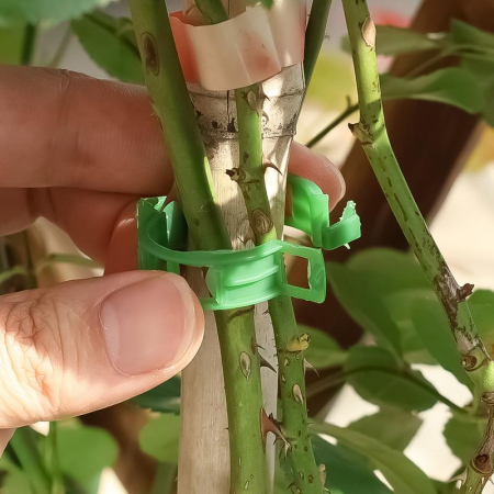 ✨TOATE PRODUSELE✨ - Clips prindere Vita de Vie Clips prindere corzi legume fructe Clipsuri pentru Corzi Vita de Vie  Clipsuri prindere Vita de vie clipsuri pentru plante dedeman ata de legat via dedeman clipsuri palisare rosii dedeman role pentru aparat de legat via dedeman ata legat rosii dedeman cleme plante fir de legat la vie clipsuri palisare hornbach