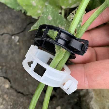 ✨TOATE PRODUSELE✨ - Clips prindere Vita de Vie Clips prindere corzi legume fructe Clipsuri pentru Corzi Vita de Vie  Clipsuri prindere Vita de vie clipsuri pentru plante dedeman ata de legat via dedeman clipsuri palisare rosii dedeman role pentru aparat de legat via dedeman ata legat rosii dedeman cleme plante fir de legat la vie clipsuri palisare hornbach