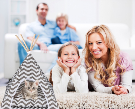 Cort de interior pentru catei, pisici si iepurasi, gri cu alb, 50x40x60cm [6]