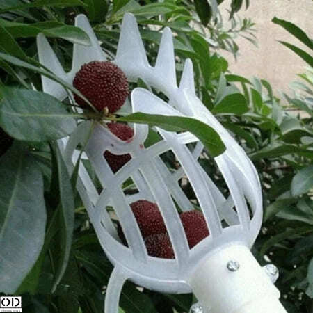Culegator Hotoaica pentru Fructe si Legume [8]