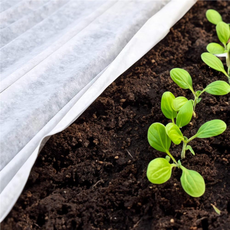 Folie agrotextil, mulcire, antiburuieni, filtru UV, 50 x 1.1metri, 70g/m2, alb [13]