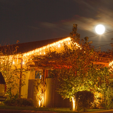 Ghirlanda luminoasa tip perdea cu flash 500 LED-uri, 20m, pentru interior/exterior, iluminare galbena [4]