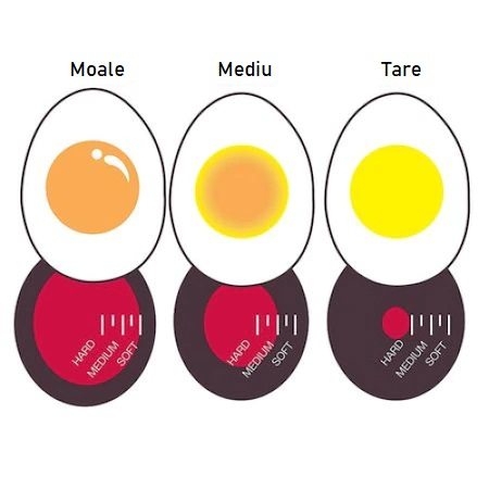 Cronometru cu Indicator pentru Firbere Oua, Universal [5]