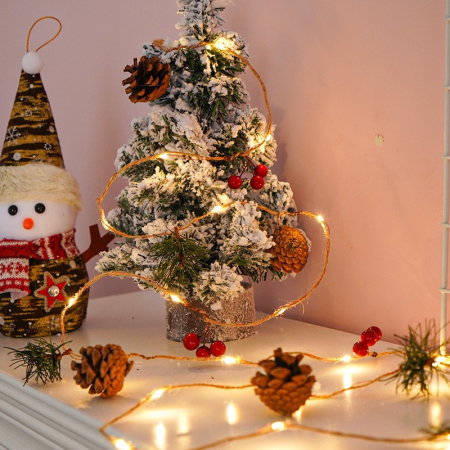 Instalatie Craciun cu baterii, 2 metri, 20 LED-uri tip ace si conuri de pin simple, Alb Cald,  [4]