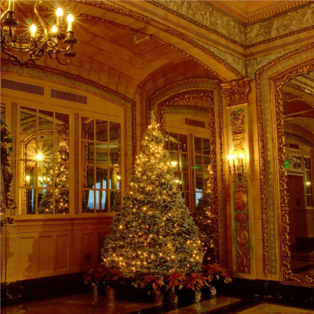 Instalatie lumini pentru bradul de Craciun, 17,5 metri, 300 LED-uri, 8 functii, alb cald [2]