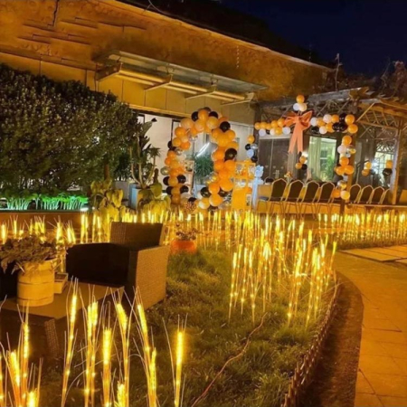 Lumina solara LED tip Spic de grau, inaltime 80 cm, pentru gradina,  [4]