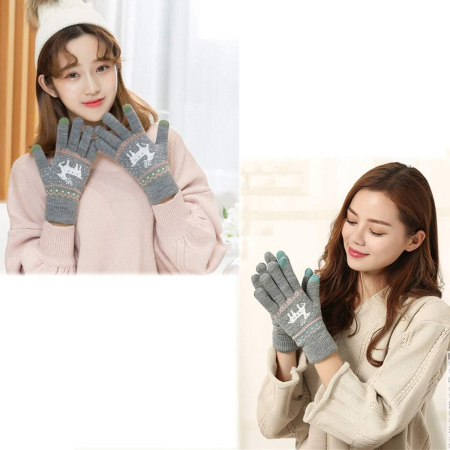 Manusi de Dama, , Model Ren, Functie Touchscreen (ecran tactil), Material Acril Tricotat, Manseta Elastica, Interior Catifelat, Marime Universala, Gri [5]