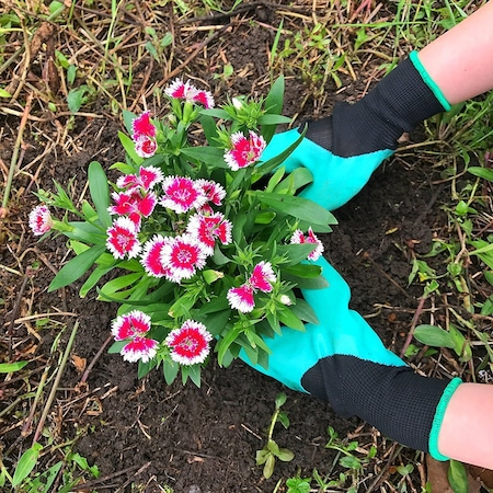 Manusi pentru Gradinarit cu 4 Gheare din PVC, pentru Greblat, Plantat, Sapat [4]