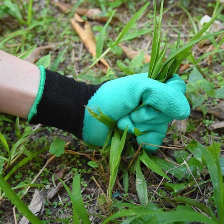 Manusi pentru Gradinarit cu 4 Gheare din PVC, pentru Greblat, Plantat, Sapat [5]