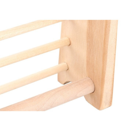 Numaratoare , din Lemn, Vopsea Ecologica, 10 Siruri x 10 Margele, 4-6 Ani, 24.5 x 20.5 cm, Multicolor [1]