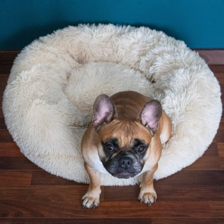 Pat Sersimo pentru caini si pisici, cu husa detasabila, bej, diametru 90cm [10]