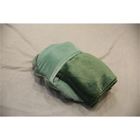 Patura 2in1 pentru Pat sau Canapea, , Model Jucarie Dinozaur cu Spatiu de Depozitare Patura, Microfibra, 1x1.7 m, Verde [5]