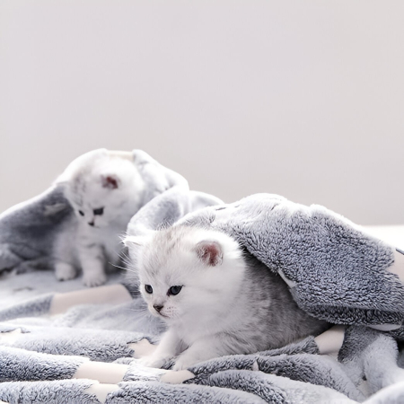 Patura Fosforescenta, , Moale, Pufoasa, Lumineaza in Intuneric, 1.5x2 m, Model Cer Instelat, Gri [6]