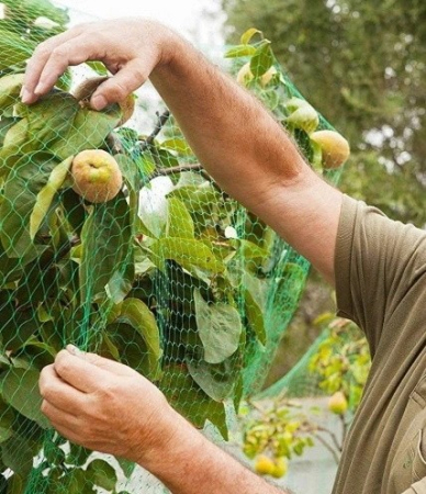 Plasa anti pasari 4x5m din polietilena, verde [1]