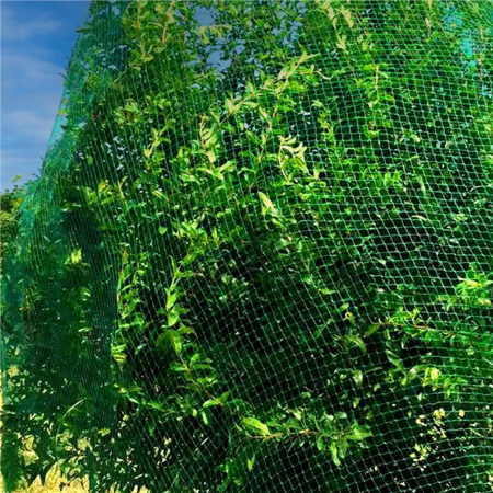 Plasa anti pasari 4x5m din polietilena, verde [6]