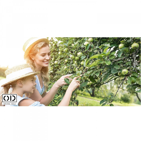 Plasa de protectie pentru pomi fructiferi si livada Punga pentru protectie fructe si legume  Punga de protectie impotriva daunatorilor Plasa de protectie pentru fructe si legume gradina livada [5]