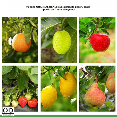 Plasa de protectie pentru pomi fructiferi si livada Punga pentru protectie fructe si legume  Punga de protectie impotriva daunatorilor Plasa de protectie pentru fructe si legume gradina livada [19]