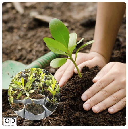 Sac pentru Germinat Seminte si Rasaduri de Legume Seminte si aparate pentru germinat starter pentru germinat seminte Vas pentru germinare Sac pentru Germinat Seminte si Rasaduri de Legume [10]