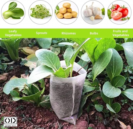 Sac pentru Germinat Seminte si Rasaduri de Legume Seminte si aparate pentru germinat starter pentru germinat seminte Vas pentru germinare Sac pentru Germinat Seminte si Rasaduri de Legume [1]