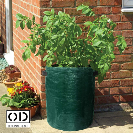 legume pe balcon Sac pentru plantat legume si fructe legume si fructe plantat acasa pe balcon Sac pentru legume si fructe pe balcon acasa Saculet cu pamant pentru plantat legume si fructe acasa Legume si fructe Bio [24]