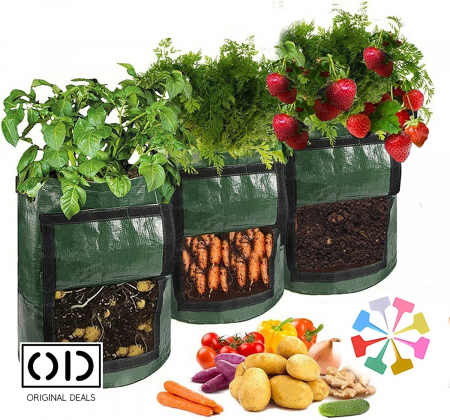 legume pe balcon Sac pentru plantat legume si fructe legume si fructe plantat acasa pe balcon Sac pentru legume si fructe pe balcon acasa Saculet cu pamant pentru plantat legume si fructe acasa Legume si fructe Bio