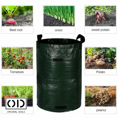 legume pe balcon Sac pentru plantat legume si fructe legume si fructe plantat acasa pe balcon Sac pentru legume si fructe pe balcon acasa Saculet cu pamant pentru plantat legume si fructe acasa Legume si fructe Bio [8]