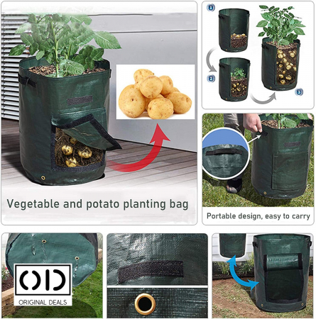 legume pe balcon Sac pentru plantat legume si fructe legume si fructe plantat acasa pe balcon Sac pentru legume si fructe pe balcon acasa Saculet cu pamant pentru plantat legume si fructe acasa Legume si fructe Bio [25]