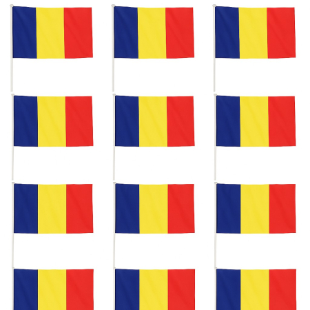 Set 12 Steaguri de Mana Tricolor, , Dimensiune 20x30 cm, Stegulet, Drapel [2]