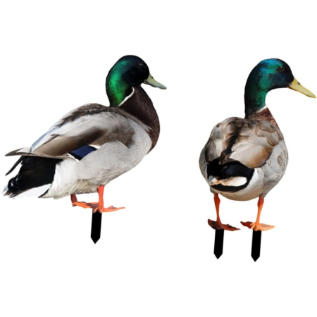 Set 2 Decoratiuni de Gradina, , Model Rata, Tip Placa, Grosime 3 mm, Fata-Verso, Multicolor [4]