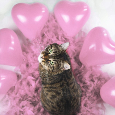 Set 50 baloane pentru petrecere in forma de inima, 30cm, roz [11]