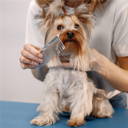 Set de ingrijire pentru animale de companie, cu 4 foarfece pentru tuns si accesorii [7]