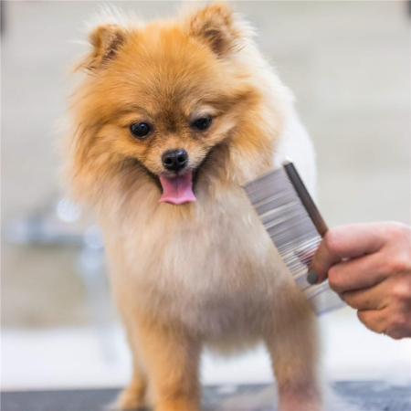 Set de ingrijire pentru animale de companie, cu 4 foarfece pentru tuns si accesorii [6]