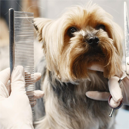 Set de ingrijire pentru animale de companie, cu 4 foarfece pentru tuns si accesorii [9]