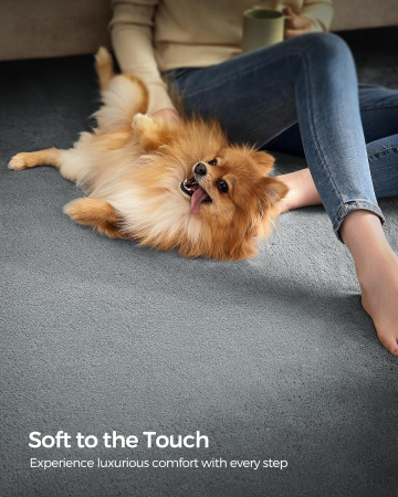 SONGMICS Covor decorativ antiderapant, lavabil la masina, 160×230 cm, gri [3]