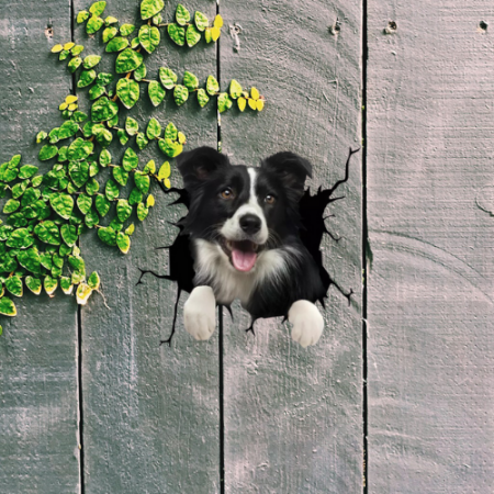 border collie pareri donez border collie vand border collie border collie pret pui border collie pret imperechere border collie border collie de vanzare brasov pui border collie adoptie donez caine border collie caine rasa border collie border collie cel mai inteligent caine caine de paza border collie are border collies aggressive chewers are border collies attached to their owners vand caini border collie how to get border collies letter border collie canil can i clip my border collie how to look after a border collie dog how long do collie crosses live [4]