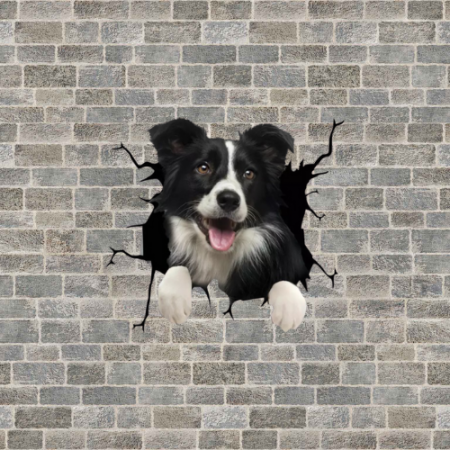 border collie pareri donez border collie vand border collie border collie pret pui border collie pret imperechere border collie border collie de vanzare brasov pui border collie adoptie donez caine border collie caine rasa border collie border collie cel mai inteligent caine caine de paza border collie are border collies aggressive chewers are border collies attached to their owners vand caini border collie how to get border collies letter border collie canil can i clip my border collie how to look after a border collie dog how long do collie crosses live [1]