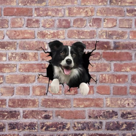 border collie pareri donez border collie vand border collie border collie pret pui border collie pret imperechere border collie border collie de vanzare brasov pui border collie adoptie donez caine border collie caine rasa border collie border collie cel mai inteligent caine caine de paza border collie are border collies aggressive chewers are border collies attached to their owners vand caini border collie how to get border collies letter border collie canil can i clip my border collie how to look after a border collie dog how long do collie crosses live [5]