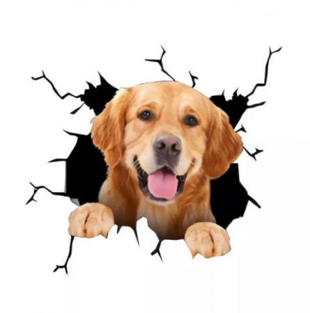 golden retriever pret golden retriever de vanzare despre golden retriever pui curiozitati despre golden retriever donez golden retriever alimente interzise golden retriever olx golden retriever [5]