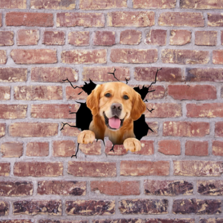 Stickere Auto & Autocolante - golden retriever pret golden retriever de vanzare despre golden retriever pui curiozitati despre golden retriever donez golden retriever alimente interzise golden retriever olx golden retriever